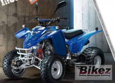 2010 Fokamo ATV 300 Interceptor photo
